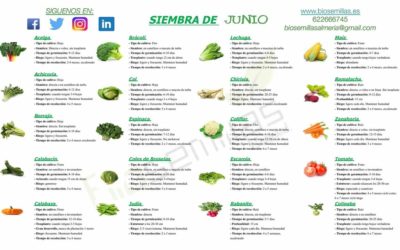Calendario de siembra de junio
