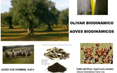 Jornada sobre el cultivo del olivar en Agricultura Biodinámica